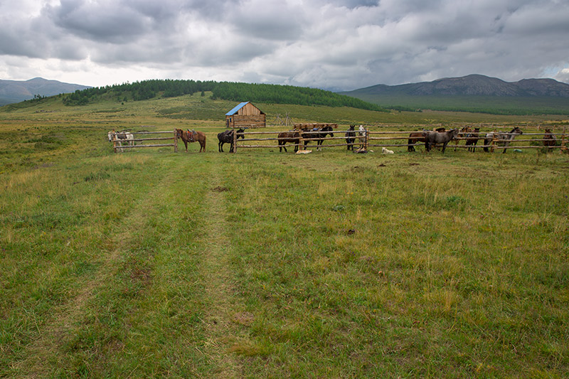 mongolia riding tours 